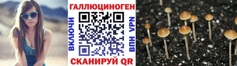 Галлюциногенные грибы мицелий  Купить  Колпашево 